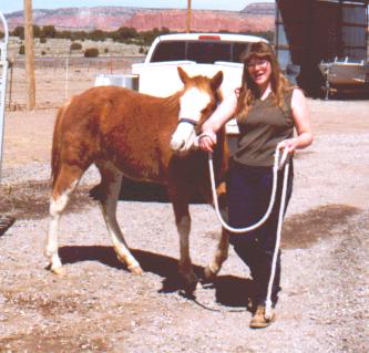 Spring 2002