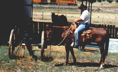 Dad on Tardy-1998