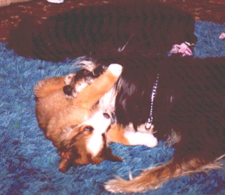 Deuce, Matty and Shushi