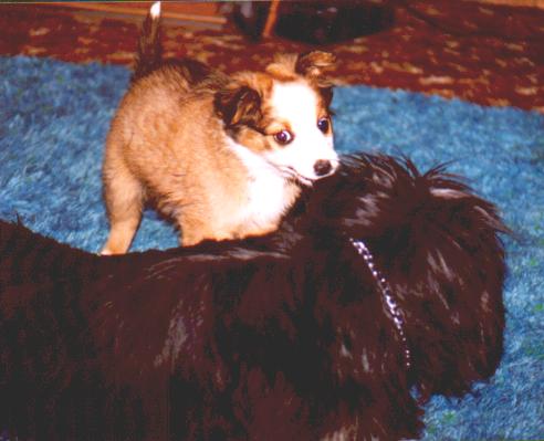 Deuce and Matty