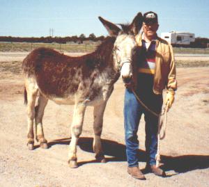 Dad and Jack--April 2001