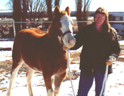 Jo and Bo, Dec. 2001