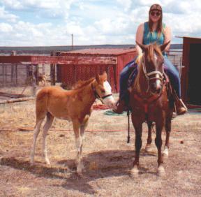 Ponyin' Bo--July 2001