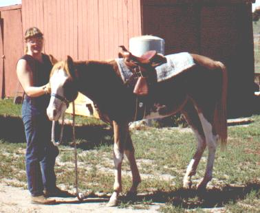 September 2002