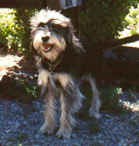 Matty--2 y.o.