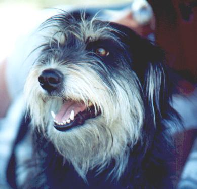 Matty--Aug. 2001--3 y.o.