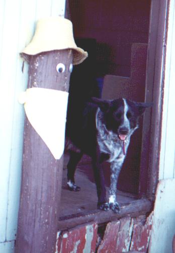 Fall 2001