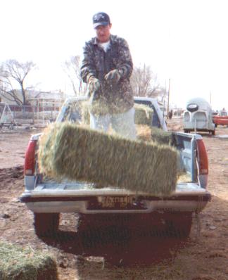 Robert helping unload hay....  (Don't he just look thrilled???)