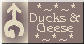Ducks, Geese, Chickens